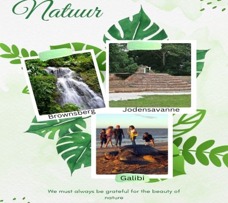 Caribo-Blog-Natuur-Plekken (2)