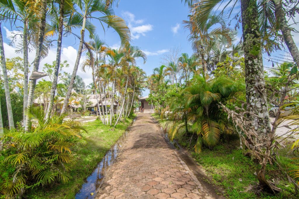 tropical getaway at Caribo Beach Resort