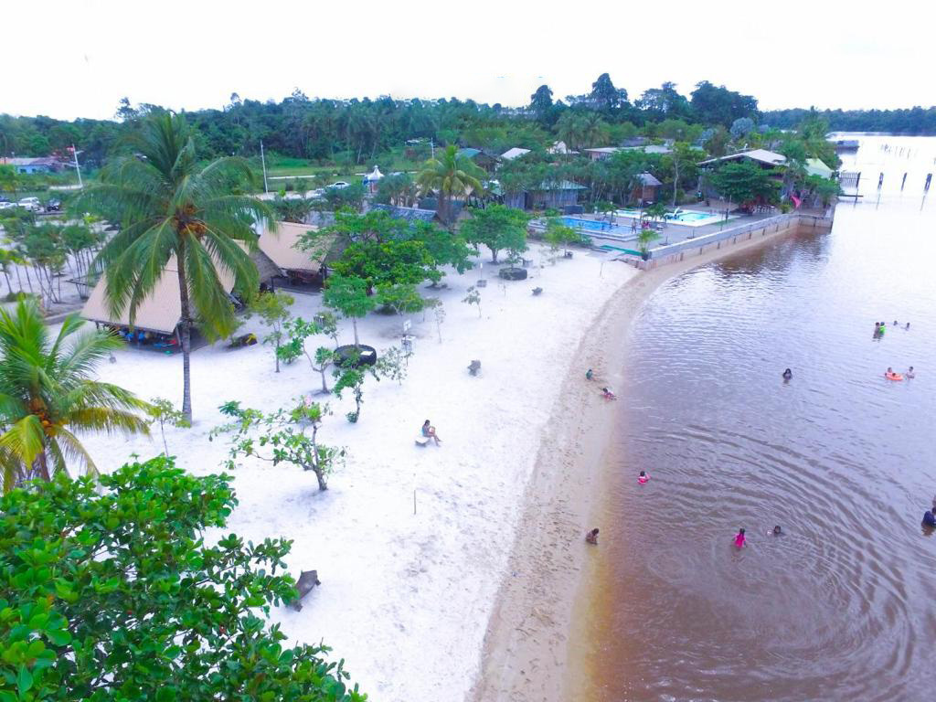 Aerial view of Caribo Beach with palm trees and beach chairs.